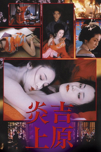 Póster de Tokyo Bordello