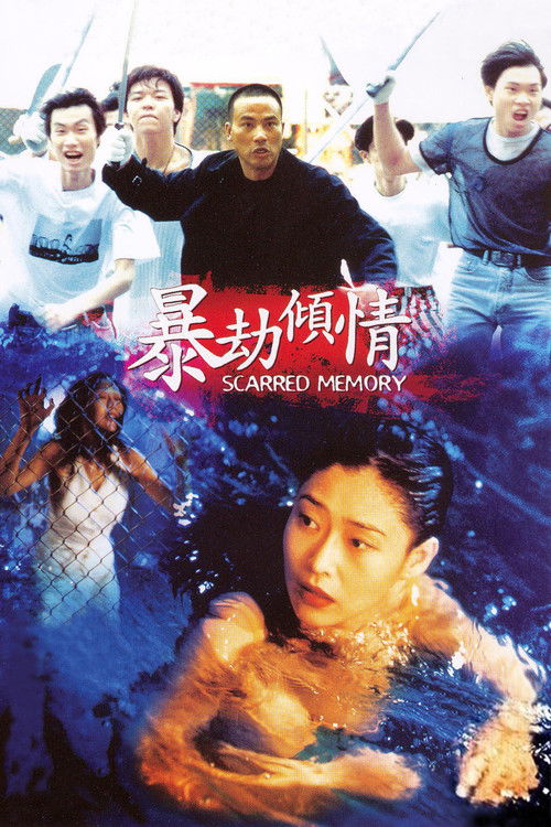 Póster de 暴劫倾情