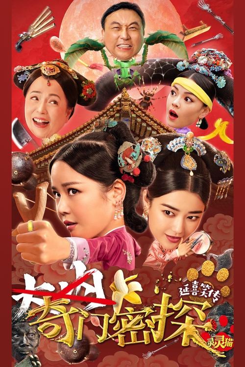 Póster de 奇门密探