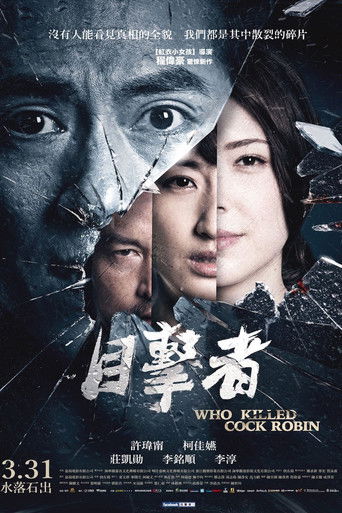 Póster de 目擊者