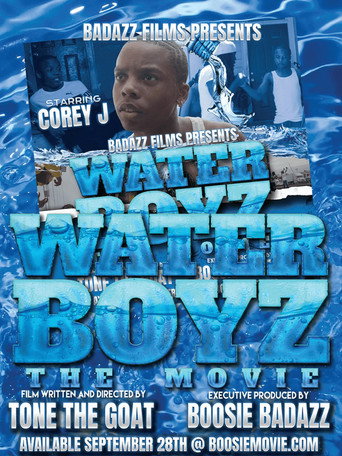 Póster de Waterboyz