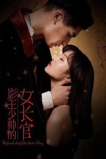 Póster de 影王少帅的女长官