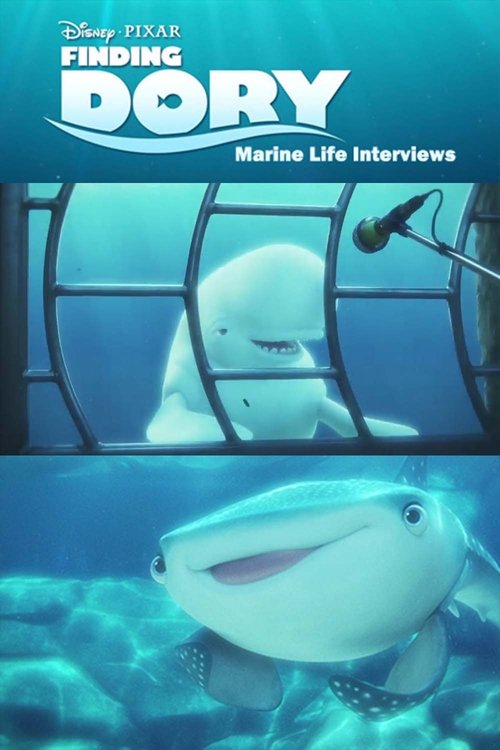 Póster de Marine Life Interviews