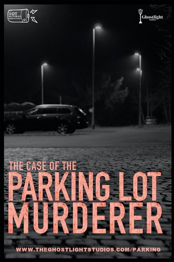 Póster de The Case of the Parking Lot Murderer