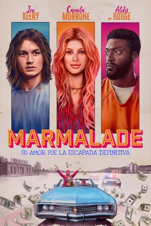 Póster de Cómplice en fuga