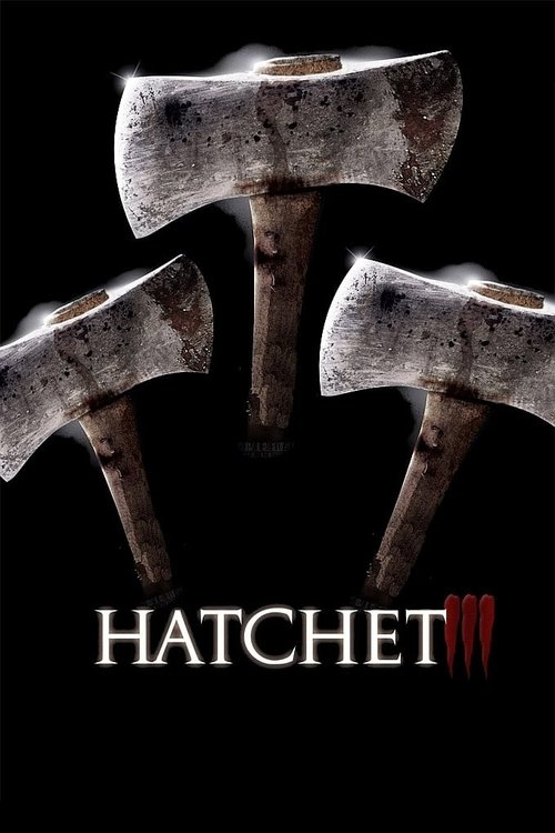 Póster de Hatchet 3