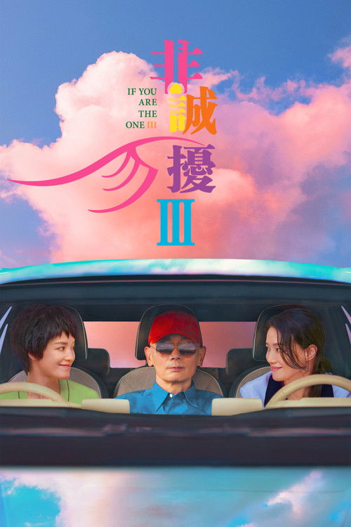 Póster de 非诚勿扰 3