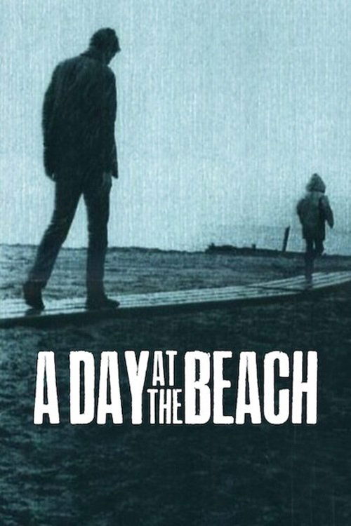 Póster de A Day at the Beach