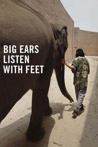 Póster de Big Ears Listen with Feet