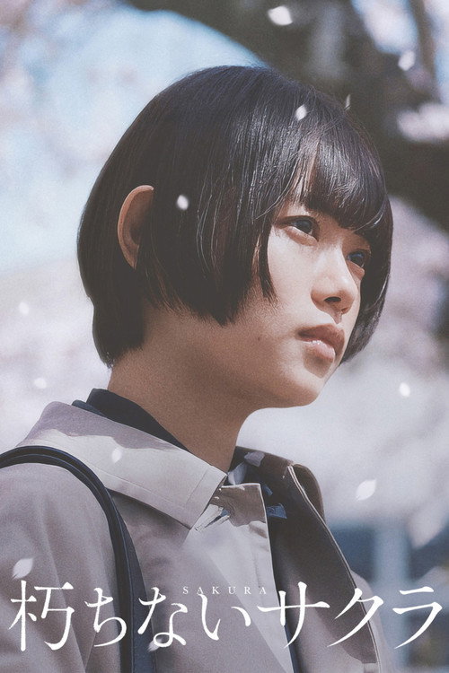 Póster de 朽ちないサクラ
