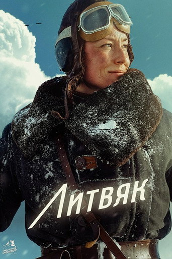 Póster de Litvyak