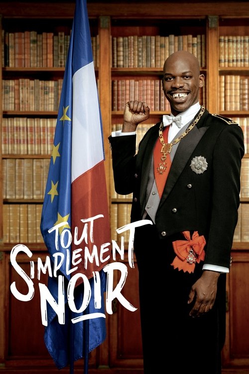 Póster de Tout simplement noir