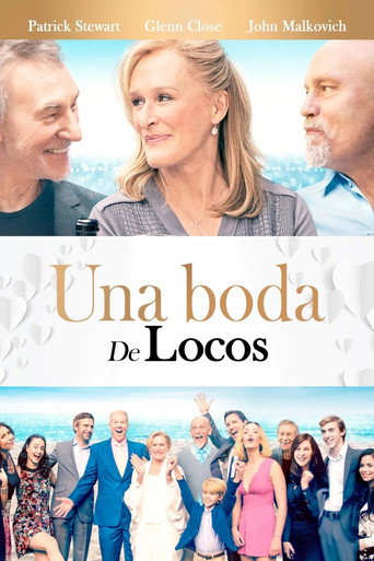 Póster de Una boda de locos