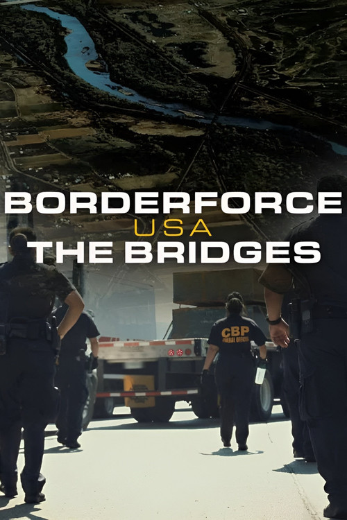 Póster de Borderforce USA: The Bridges