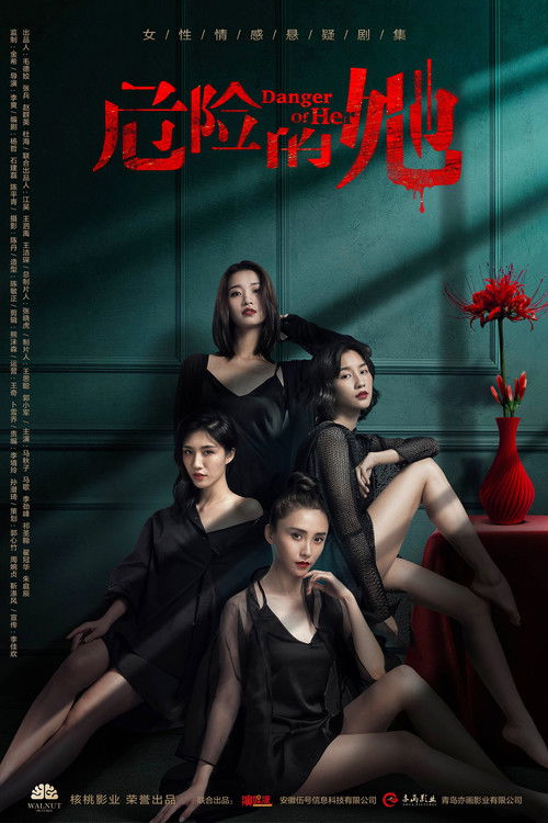 Póster de 危险的她