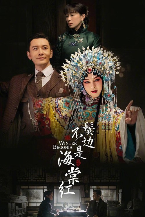 Póster de 鬓边不是海棠红