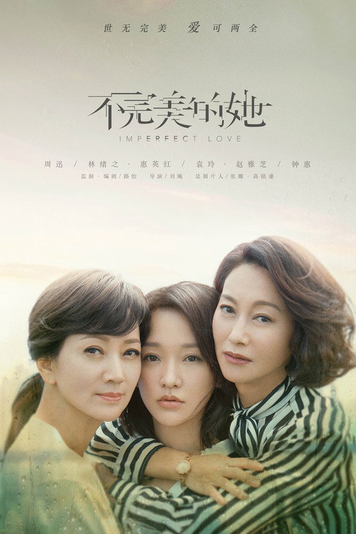 Póster de 不完美的她