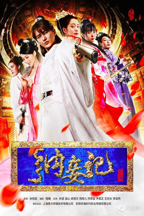 Póster de 纳妾记