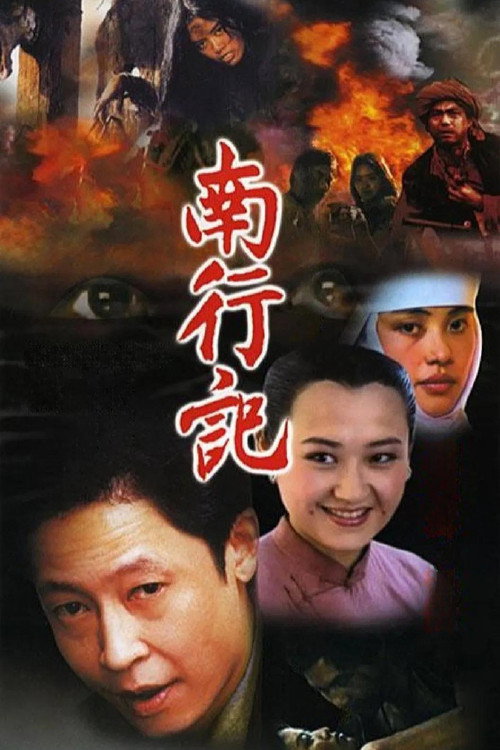 Póster de 南行记