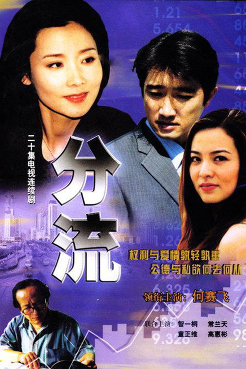 Póster de 分流