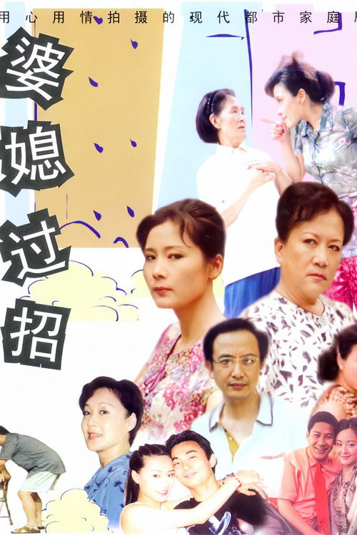 Póster de 婆媳过招