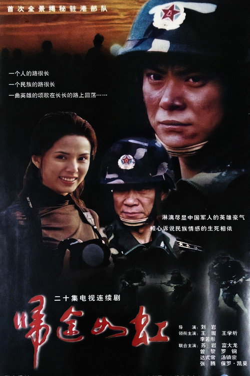 Póster de 归途如虹