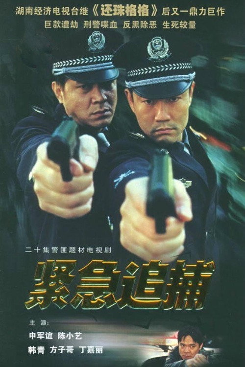 Póster de 紧急追捕