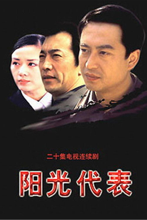 Póster de 阳光代表