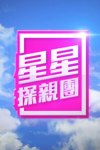 Póster de 星星探親團