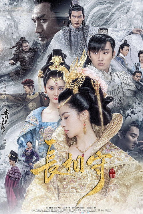 Póster de 长相守