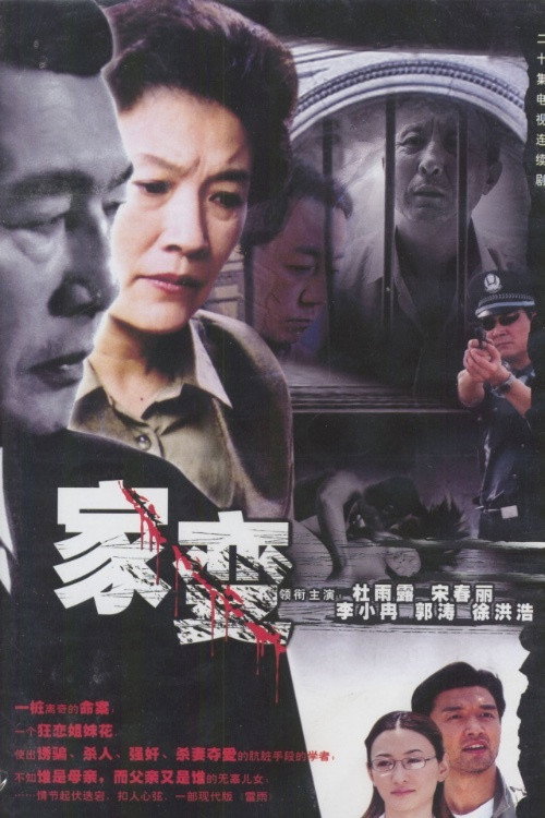 Póster de 家变