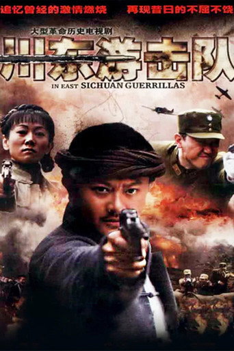 Póster de 川东游击队