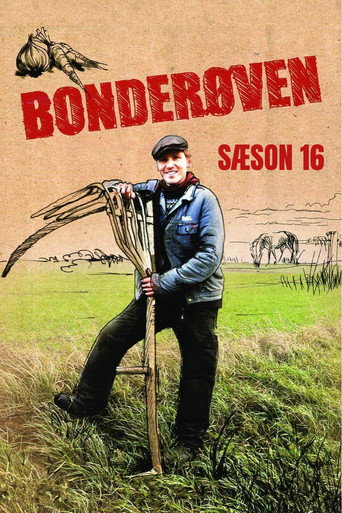 Póster de 孤战