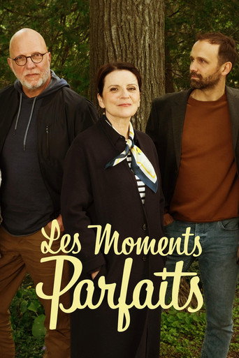 Póster de Les moments parfaits