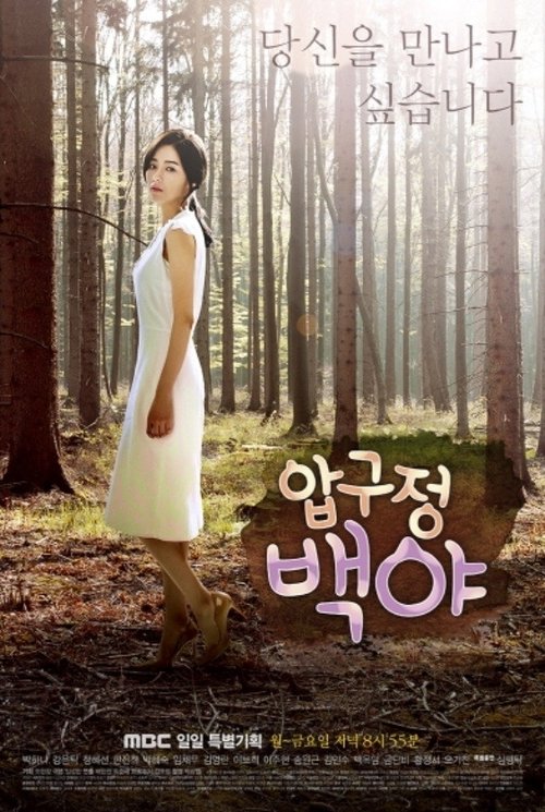 Póster de 압구정 백야