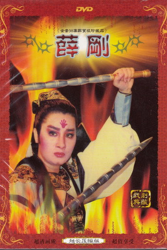 Póster de 薛剛