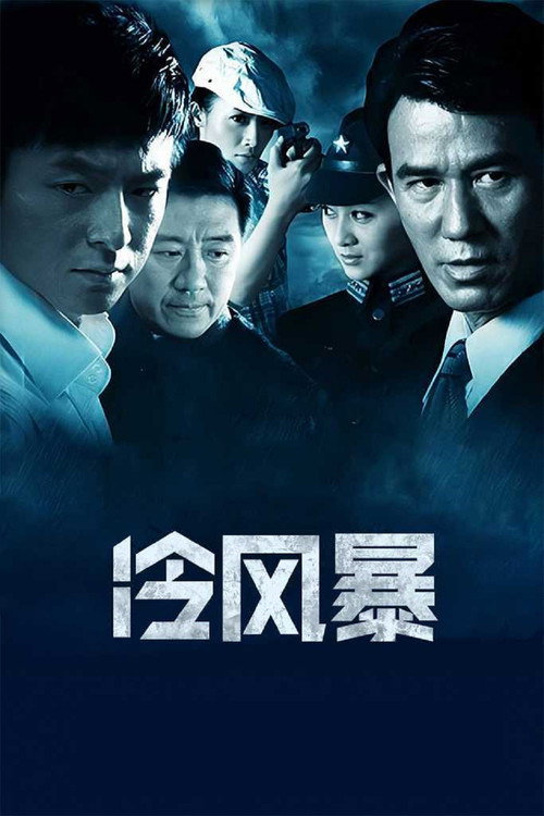 Póster de 冷风暴