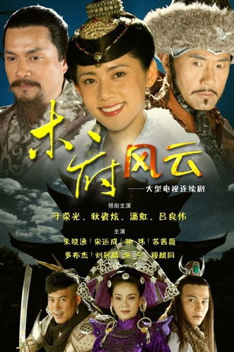 Póster de 木府风云