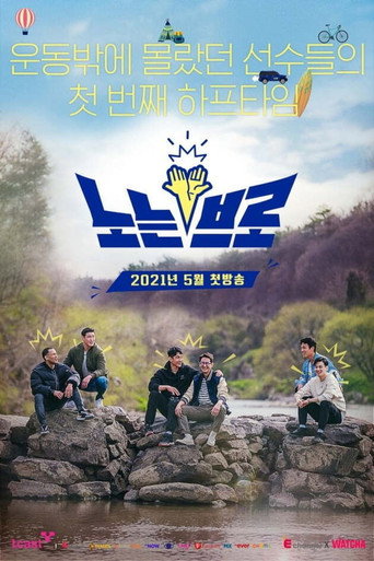 Póster de 노는 브로