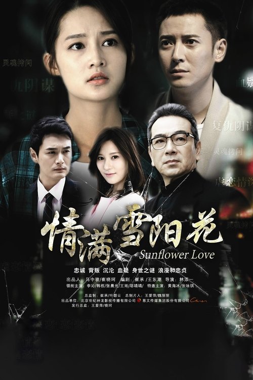 Póster de 情满雪阳花