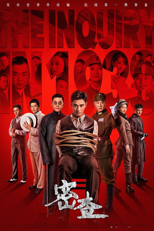 Póster de 密查
