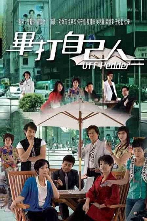 Póster de 畢打自己人