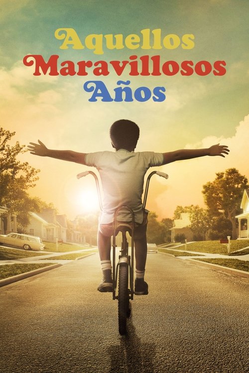 Póster de Los años maravillosos