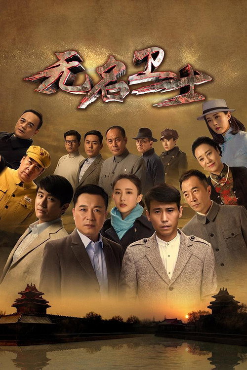 Póster de 无名卫士