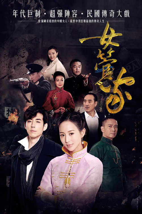 Póster de 女管家