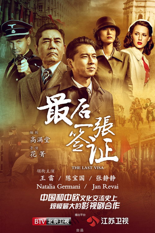 Póster de 最后一张签证