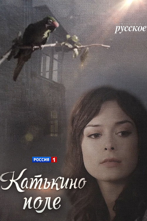 Póster de Катькино поле