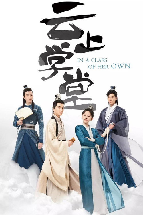 Póster de 漂亮书生