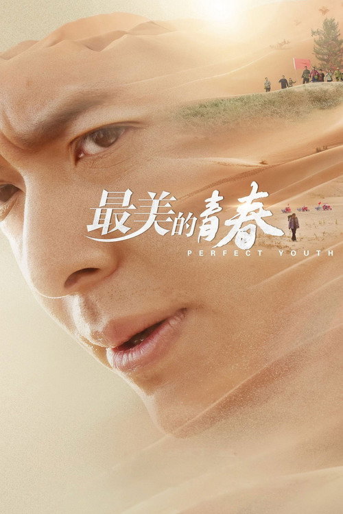 Póster de 最美的青春