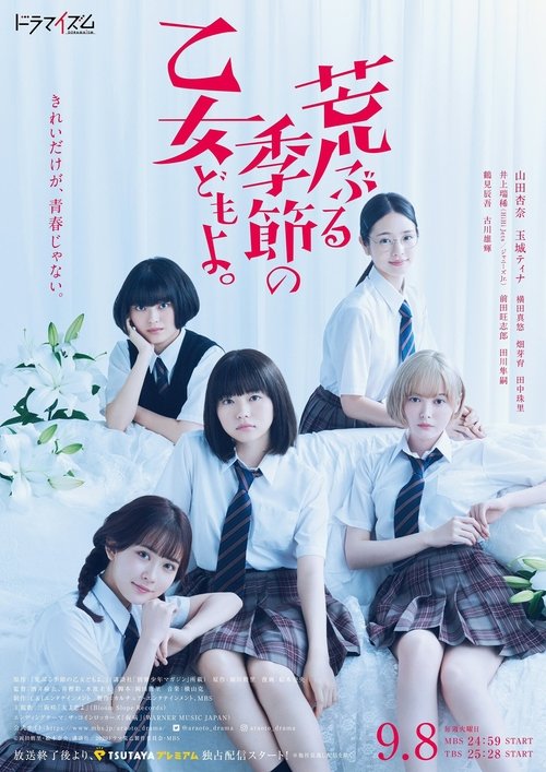 Póster de Araburu Kisetsu no Otome-domo yo